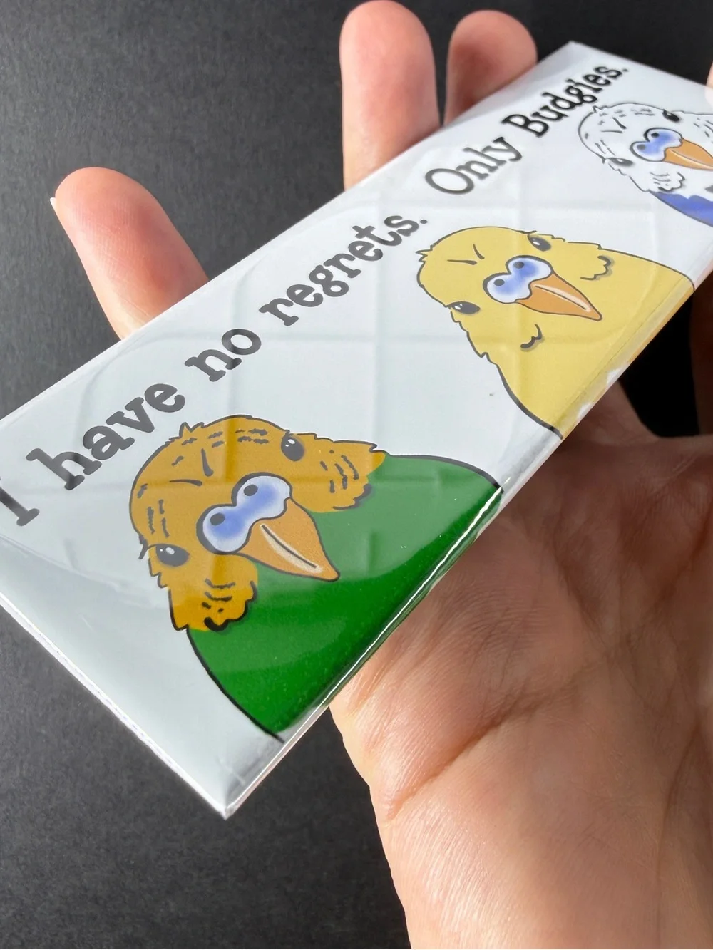 I Have No Regrets, Only Budgies Magnet, Handmade & Hand Illustrated 1.5x4.5”